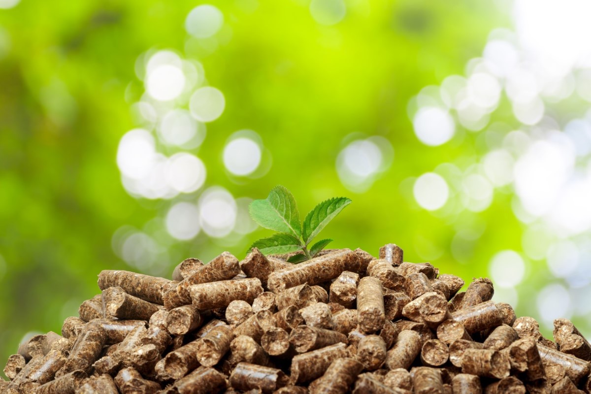 Biomass